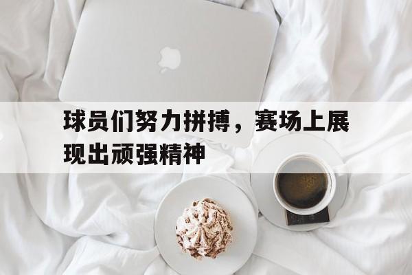 球员们努力拼搏,赛场上展现出顽强精神